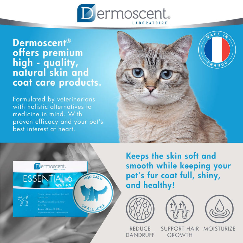 Essential 6 spot-on for Cats - Skin Care for Dandruff Dry or Oily Skin & Hair Loss - Natural Essential Oils & Fatty Acids - Healthy Skin & Coat - 4 Pipettes of 0.6 ml / 0.08 fl. oz