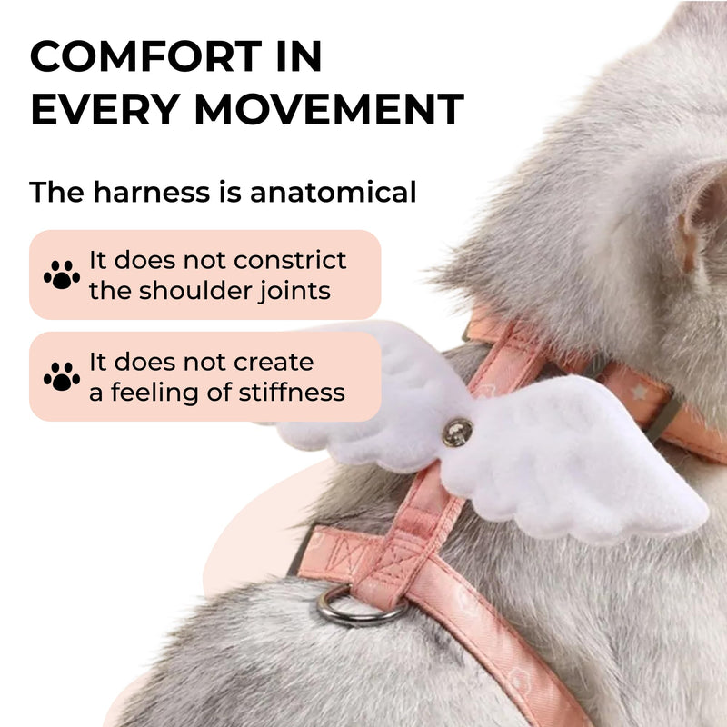 Angel Wings Pet Harness and Leash Set for Dogs & Cats, Adjustable I-Shaped Chest Strap, Padded Anti-Break Rope - PawsPlanet Australia