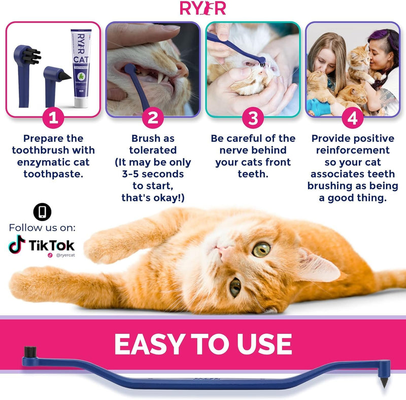 RYERCAT Set of Dual Sided Cat Toothbrushes - Kitten Toothbrush with Micro Head to fit into Kittens Mouth - Cat Dental Care Supplies Pet Toothbrush for Cats (Flamingo Pink and Space Blue) Flamingo Pink and Space Blue