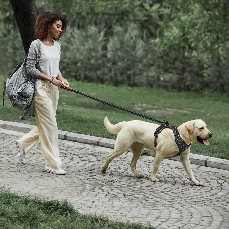 PHOEPET No Pull Dog Harness + Matching Leash - PawsPlanet Australia