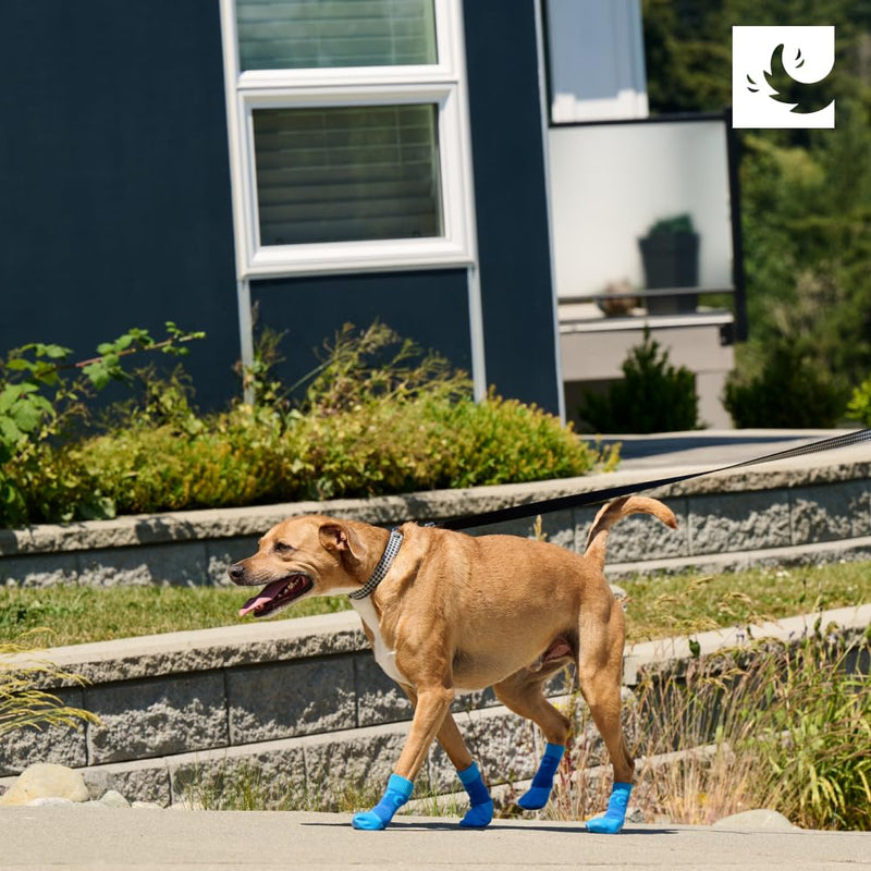 RC Pet Products Sporty PAWks Anti-Slip, Stylish, Functional, Protective Dog Socks | X-Small, Electric Blue/Cyan - PawsPlanet Australia