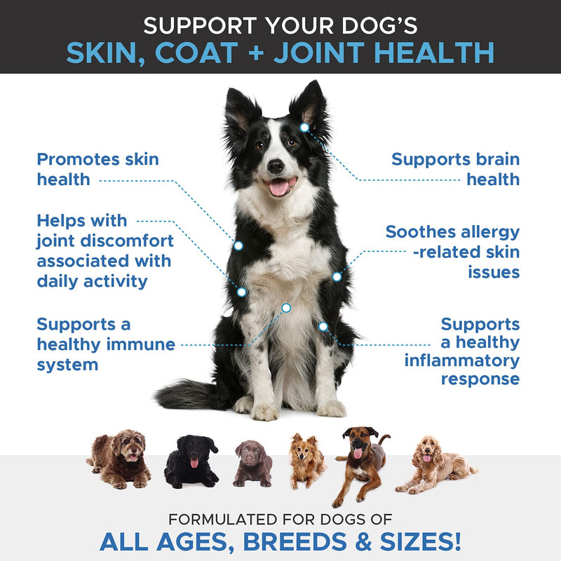 PetHonesty Omega SkinHealth Chews for Dogs - Omega 3 Fish Oil for Dogs - Kelp, Spirulina, Omega-3s, Alaskan for Healthy Skin & Coat, Helps Itchy Skin, Dog Allergies, May Reduce Shedding