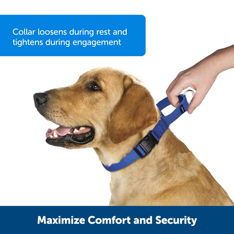 PetSafe Adjustable Martingale Collar - Improves Leash Manners - Escape Prevention - Gentle Behavior Training - Durable Nylon - Alternative to Choke Collar - Medium 3/4" - Black - PawsPlanet Australia
