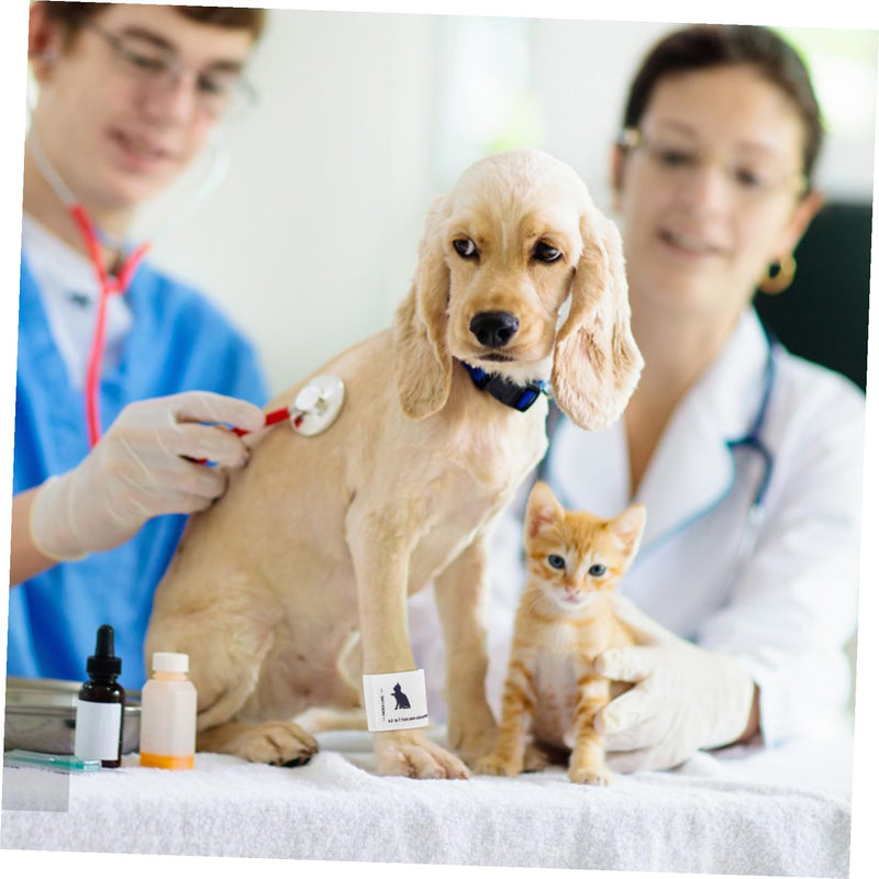 SOLUSTRE Reusable Blood Pressure Cuff for Pets Made of Durable Non-Woven Fabric and TPU Comfortable and Safe for Dogs and Cats in Everyday Life