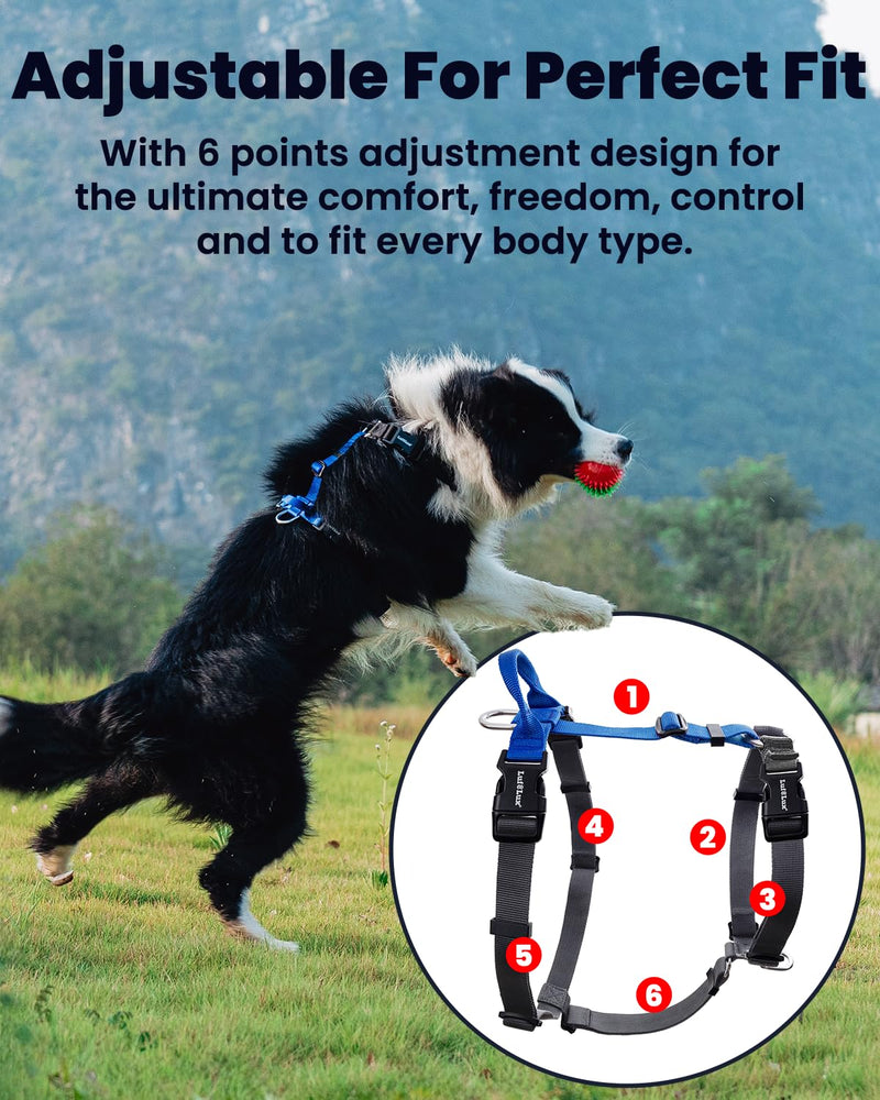 No Pull Dog Harness with Two Points Control Leash Set, Neck Buckle, Aluminum D-Rings, 6 Points Adjustment, Easy Walking and Training, Leash with 2 Clips (Harness-Leash Set, L) - PawsPlanet Australia