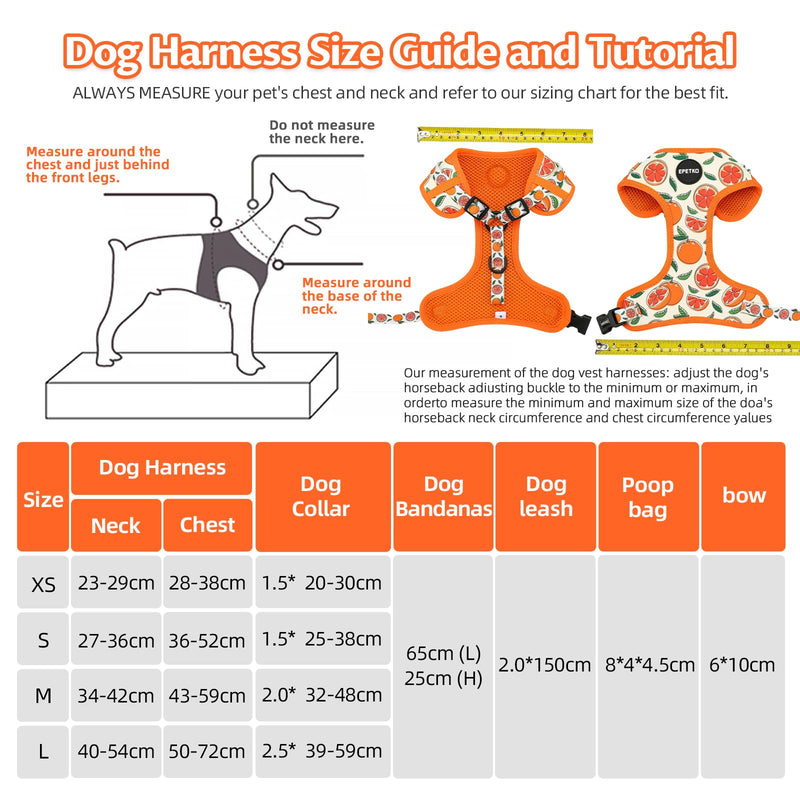 Dog Leash and Harness Set of 6, Soft Lightweight Mesh Step-in Puppy Harness, Adjustable Cute Floral Pattern Puppy Harness for Small Medium Dogs Orange M - PawsPlanet Australia