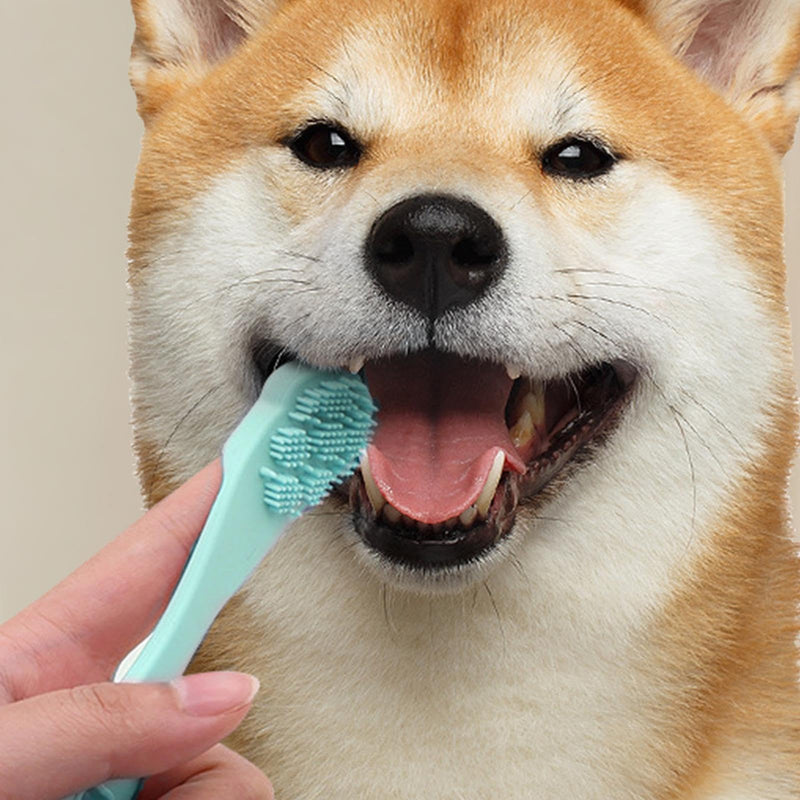 Dog toothbrush, silicone toothbrush for dog fingers, pet toothbrush in paw shape, toothbrush for care, green, 1 piece (pack of 1).
