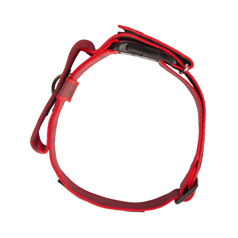 Julius-K9 Color and Gray Collar with Handle and Interchangeable Patch, 50 mm (49-70 cm), Red-Gray - PawsPlanet Australia