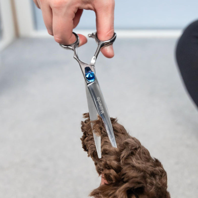 Masterclip 7.5” Essentials Finishing Scissors – Professional High Grade Stainless Steel Easy Grip Dog Grooming Scissors – Suitable for Precise Lines and a Sharp Show Cut Finish (Right Handed)