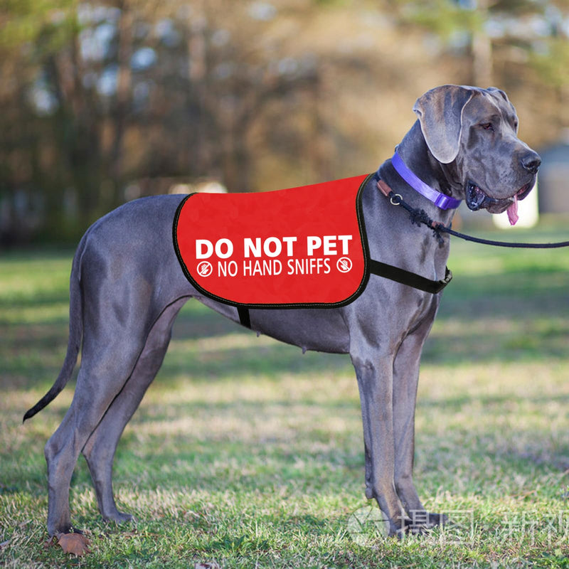 JXGZSO Nervous Anxious Dog Slogan Warning Vest Do Not Pet No Hand Sniffs Dog Jacket Vest (No hand sniffs L) No hand sniffs L - PawsPlanet Australia