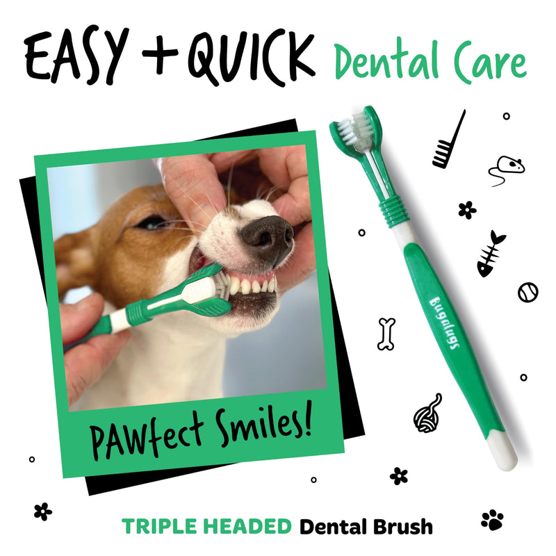 Bugalugs Dog and Cat Dental Care Kit: Toothpaste, 2 Finger Cat Toothbrushes, Dog Toothbrush for Plaque Removal and Fresh Breath 1 count (Pack of 1)