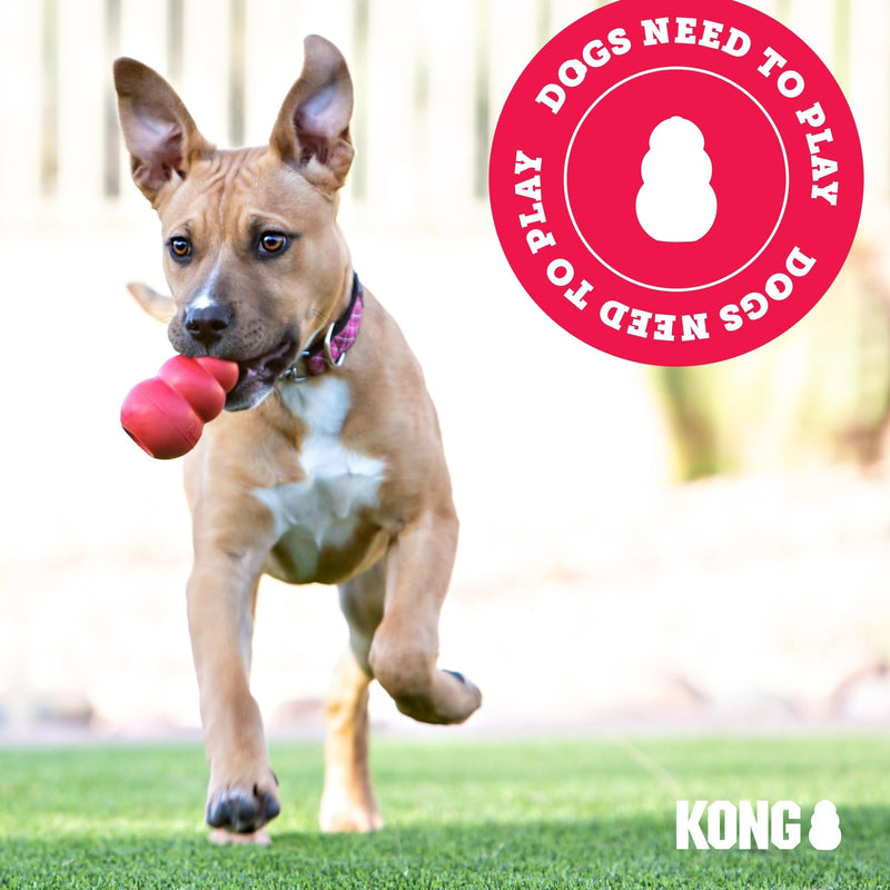 KONG - ZoomGroom - Dog Brush for Grooming and Shampooing - Red Brush for Large Dogs Standard Packaging - PawsPlanet Australia