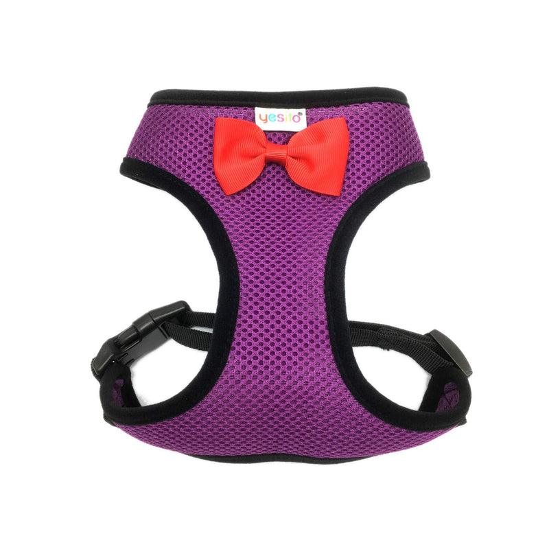 Chicken Harness Hen size With 6-foot Matching belt, Comfortable, Breathable, Small Size, Suitable for Chicken, Duck or Goose Suitable for Weight about 2.3-3.8Pounds, Orange (Small, Dark purple) - PawsPlanet Australia