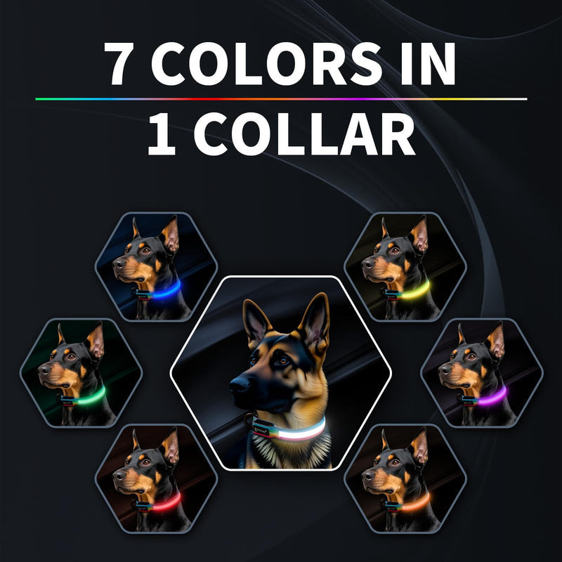 Premium LED Dog Collar for Night Walking - Light up Dog Collar Cycle 7 Solid Colors - Lighted Dog Collars USB C Rechargeable - Waterproof Glow in The Dark Dog Collars - Adjustable, Fashion, Safety(M) Medium (14½ " - 19½ " ) 7 colors (one-click switch) - PawsPlanet Australia