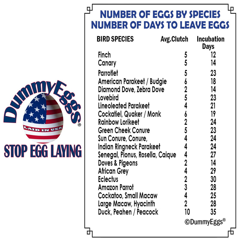 DummyEggsⓇ USA. 6 Lovebird Dummy Eggs. Stop Laying! Realistic Plastic Fake Bird Eggs. Perfect for Lovebird, Lineoleated, Eng Budgie. Non-Toxic Solid Premium White Plastic 7/8" x 3/4" Laid in USA! - PawsPlanet Australia