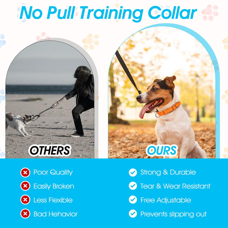 cobee 12 Pack Reflective Martingale Collars for Medium Dog, Adjustable Nylon Collar with Metal D Clip 12 Colors Pupplies Collar 14.2-18.9 Inch - PawsPlanet Australia