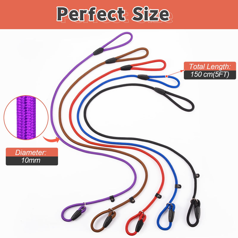 5pcs Slip Lead Dog Leash,Strong Nylon Rope Leash,Training Leash for Large Medium and Small Dogs - PawsPlanet Australia