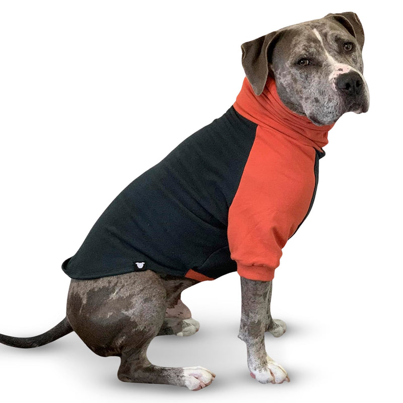 Tooth & Honey Pitbull Dog Sweater - Dark Green & Orange (Large) Large - PawsPlanet Australia