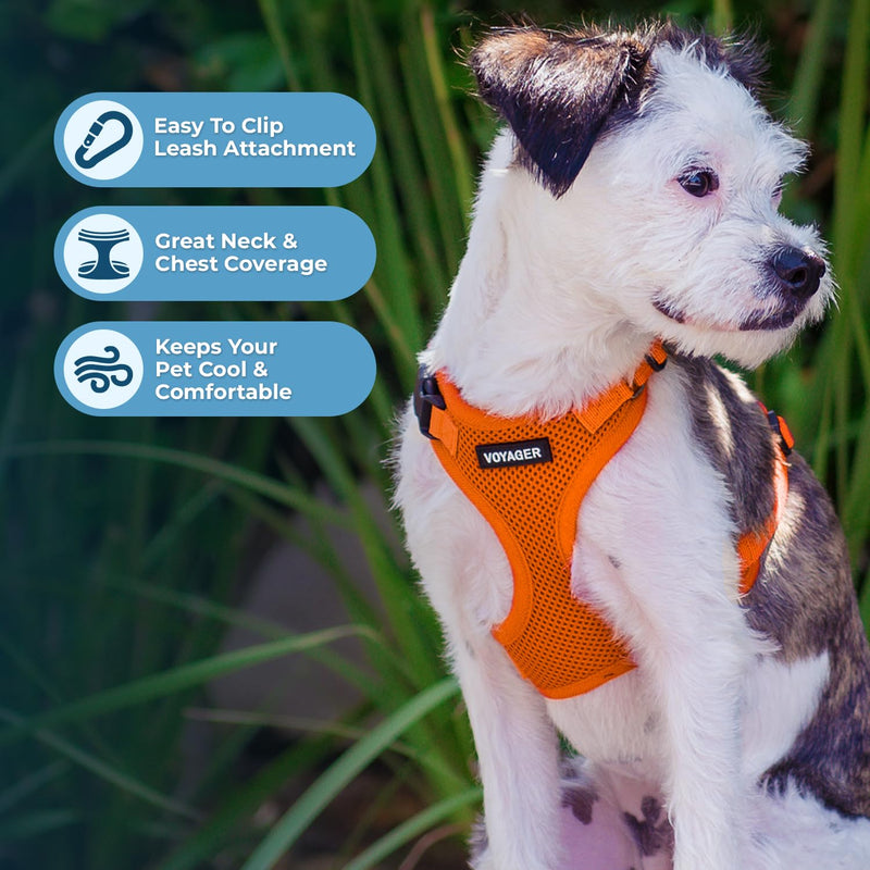 Voyager Step-in Lock Dog Harness w Reflective Dog Leash Combo Set with Neoprene Handle 5ft - Supports Small, Medium and Large Breed Puppies/Cats by Best Pet Supplies - Orange, L - PawsPlanet Australia