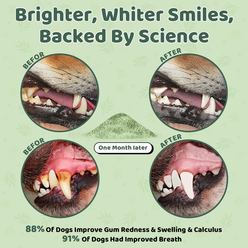 Dog Teeth Cleaning Powder, Dog Dental Powder, Dog Dental Care, Targets Tartar & Bad Breath & Reduces Plaque, Dental Powder for Dog Teeth Cleaning, Green - PawsPlanet Australia