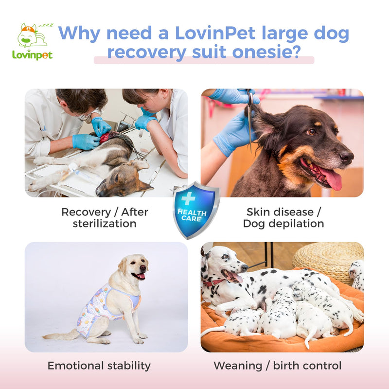 LovinPet Dog Recovery Suit for Large Medium Dogs - Dog's Bodysuit Wound Protective Surgical for Abdominal Wounds After Surgery Anti-Licking Dog Onesies,Elephant,Yellow,M Yellow collar/Blue - PawsPlanet Australia