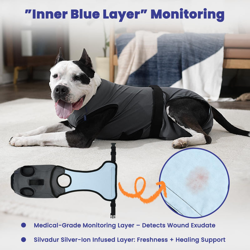 Dog Surgery Recovery Suit, Spay/Neuter Surgical Onesies with Inner Blue Monitoring Layer for Male Female Dogs, Hold-Up Potty System, E-Collar Alternative (Grey, Medium) Grey