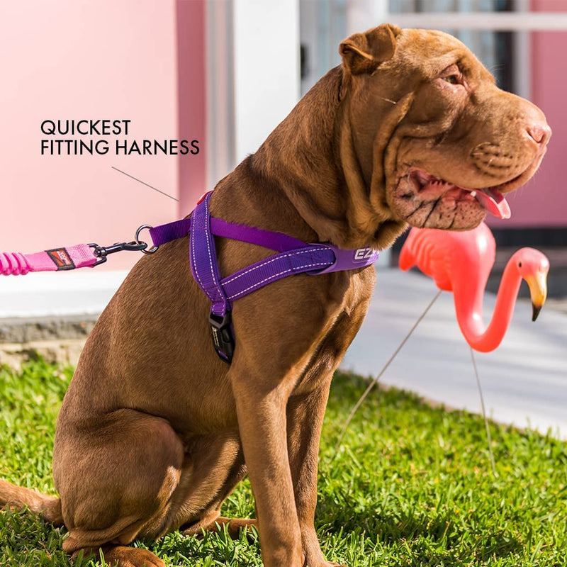 EzyDog Quick Fit Dog Harness – No Pull Harness for Training, Everyday Walking, and Easy Control - Adjustable Fit, Reflective, and Padded (Large, Black) Large - PawsPlanet Australia