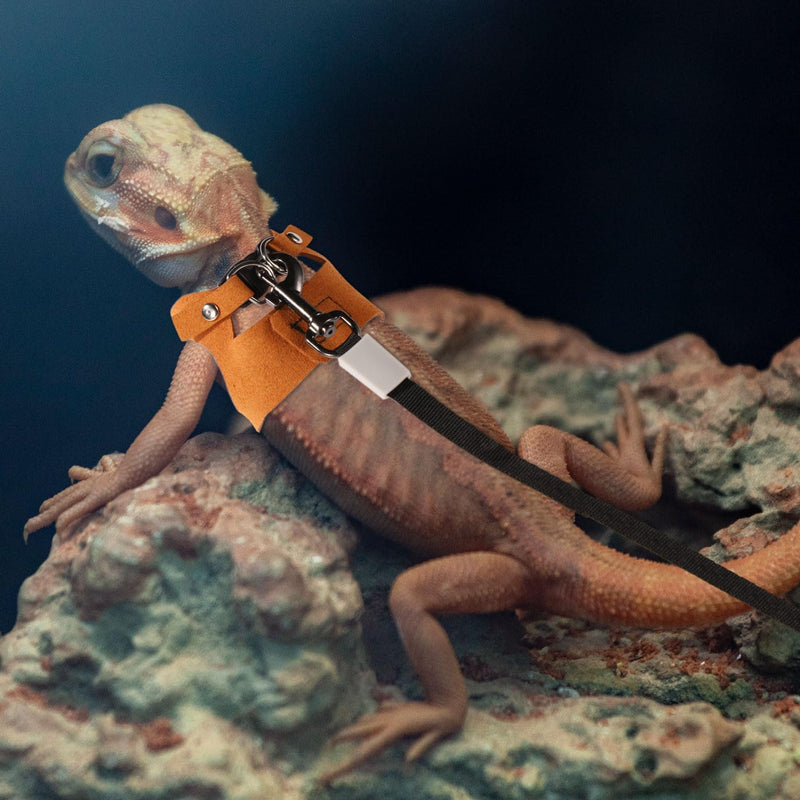 Bearded Dragon Harness and Leash Set, 3 Sizes Super Leather Vest with Retractable Rope, Brown - PawsPlanet Australia