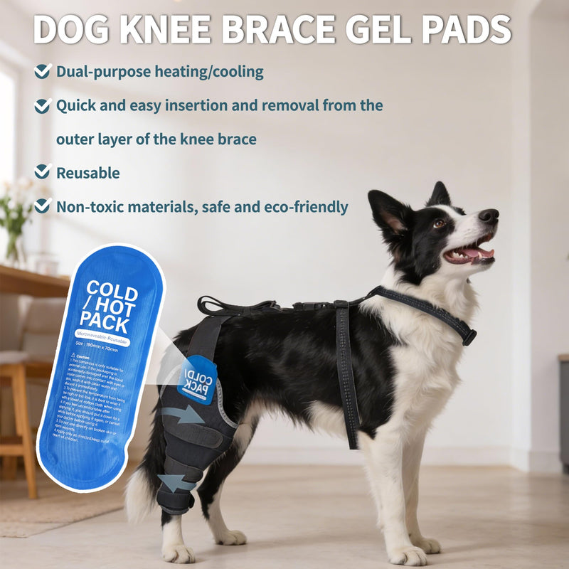 Dog Knee Braces for Back Leg, Dual-Use for Hot/Cold Compress Relieves Acute Joint Pain and ACL Injuries, Includes Removable Gel Ice Pack Suitable for Medium to Large Dogs, Right Leg M