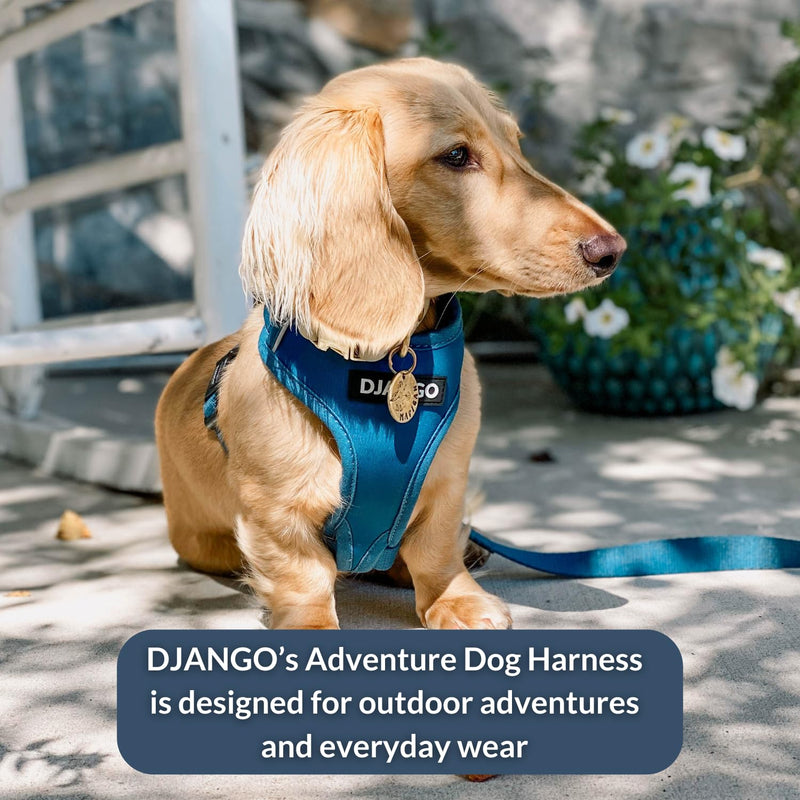 DJANGO Adventure Dog Harness – Comfortable, Durable, and Reflective Neoprene Dog Harness for Outdoor Adventures and Everyday Wear – Adjustable Design with Solid Brass Hardware (Small, Indigo Blue) S