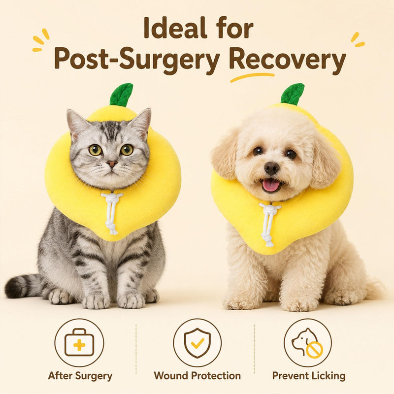 Cat Recovery Collar - Soft Cat Cone to Stop Licking after Surgery, Adjustable Elizabethan Collar for Cats & Small Dogs, Lightweight PP Cotton Donut Neck Cone Lemon