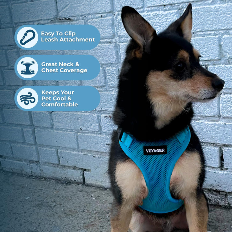 Best Pet Supplies Voyager Step-In Lock Pet Harness – All Weather Mesh, Adjustable Step In Harness for Cats and Dogs by - Turquoise (Matching Trim), XS (Chest: 11-16" * Fit Cats) Harness (Turquoise) XS (Chest: 13 - 16")