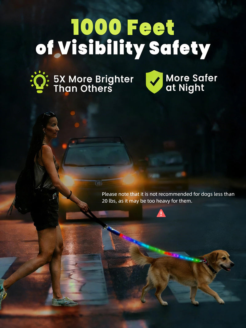Light Up Dog Leash, LED Pet Leash for Night Walking,13 Lighting Modes, Rechargeable Dog Lights, Glow in The Dark Walking Leashes with Tangle-Free Hook for Medium Large Dogs (Leash-5Ft) Leash-5Ft - PawsPlanet Australia