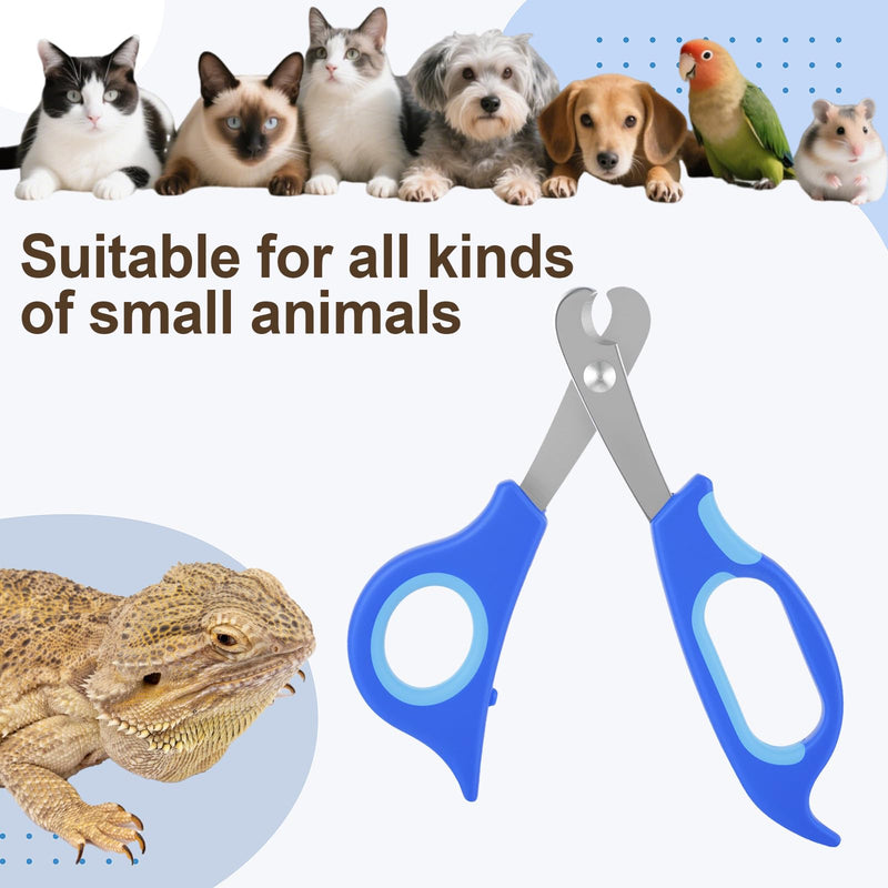 Bearded Dragon Nail Clippers,Stainless Steel Bearded Dragon Accessories,Professional Grooming pet Tools Including Nail File and Scissors for Small Reptiles,Chameleon,Cats,Dogs,Iguana - PawsPlanet Australia