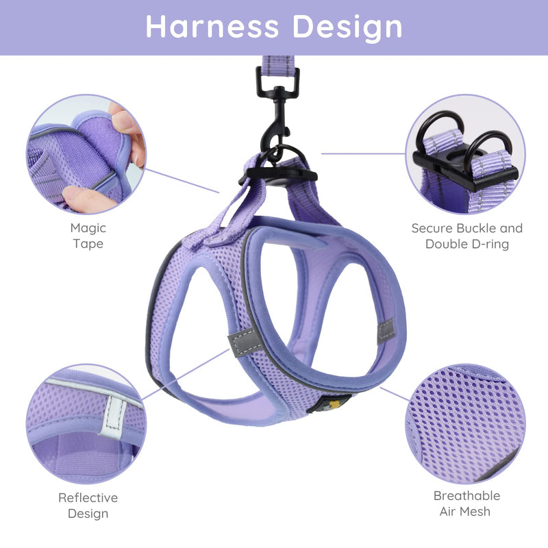 BELLA & PAL Puppy Harness with Leash Set, Dog Harness for Small Dogs No Pull, Dog Leash for Small Dogs, Step in Harness for Extra Small Dogs, Purple Lavender Harness, S - PawsPlanet Australia