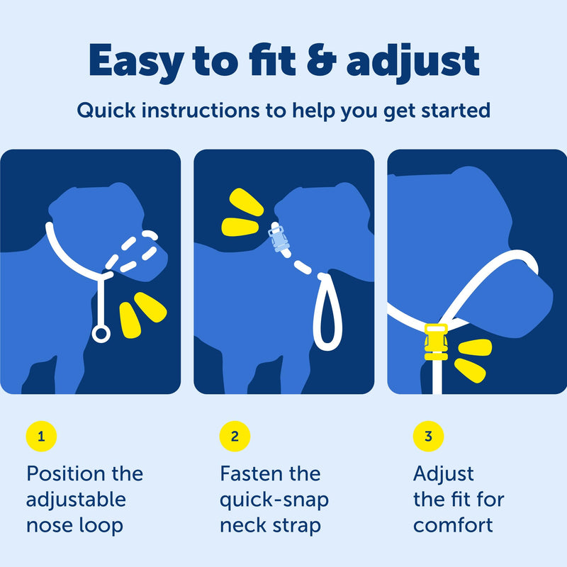 PetSafe Gentle Leader Headcollar, No-Pull Dog Collar – Perfect for Leash & Harness Training – Stops Pets from Pulling and Choking on Walks – Medium, Deep Purple