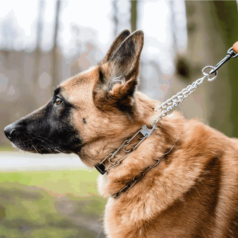 Herm Sprenger Prong Dog Collar – Stainless Steel Training Collar with Quick Release ClicLock Buckle, 3 Extra Links, 30 Comfort Tips, for Small Medium Large Dogs, Made in Germany Medium-Large (3.2 mm links) - PawsPlanet Australia