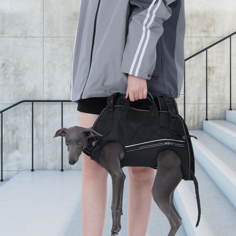 Dog Backpack Carrier for Small Dogs,Dog Lift Harness,Adjustable Padded Breathable Straps for Dogs, Disabled, Joint Injuries, Arthritis,XL(24-35LBS) XL Black - PawsPlanet Australia