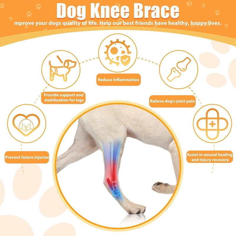 MASBRILL Dog Knee Brace, Adjustable Dog Brace Protector Pads for Back Leg, Dog ACL Hind Leg Brace Cruciate Ligament Care Knee Brace for Dogs Rear Leg, Joint Pain and Muscle Sore - PawsPlanet Australia