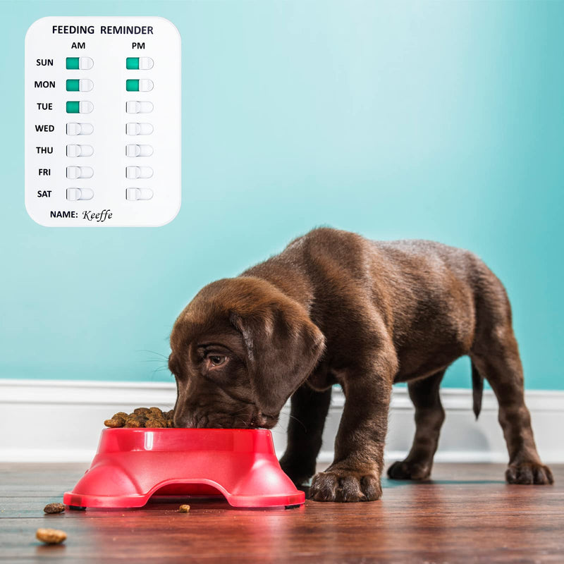 Coolrunner Pet Feeding Reminder for Dogs Cats, Magnetic or Double Sided Adhesive, Prevent Overfeeding B Pattern - PawsPlanet Australia
