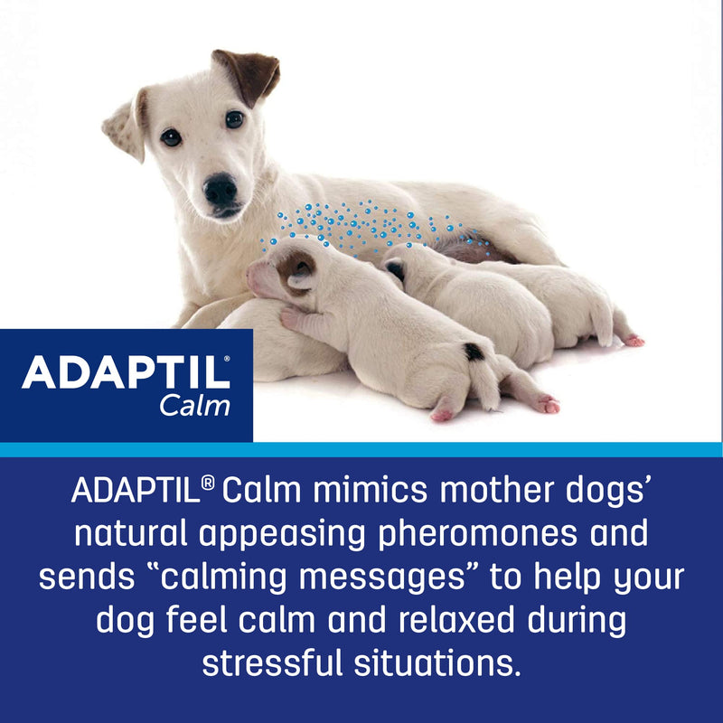 ADAPTIL Dog Calming Pheromone Diffuser, 30 Day Starter Kit (48 mL)