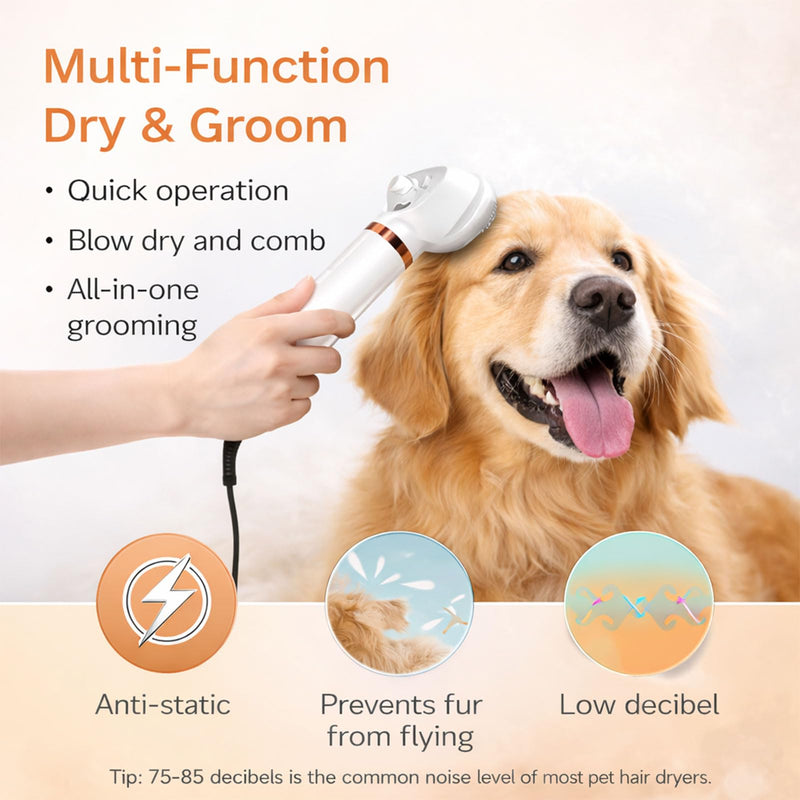 All-in-One Steam Pet Grooming Brush for Dogs & Cats, Soft Brushing with Drying & Deshedding, Calm Home Grooming Tool for Daily Use - PawsPlanet Australia
