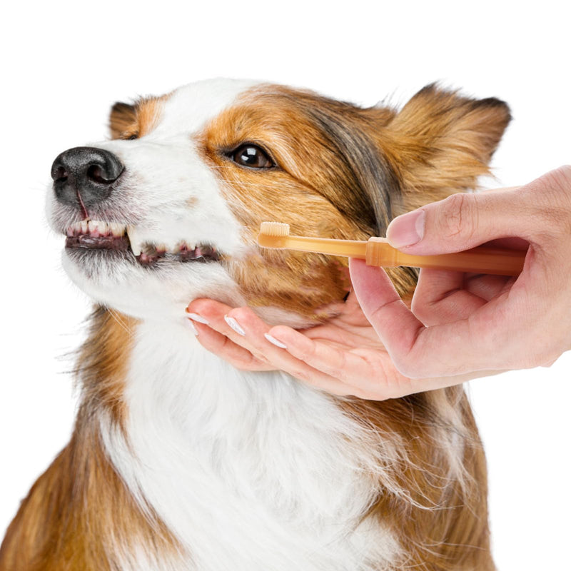 VOSAREA 1 Set of Silicone Pet Toothbrush Kit for Dogs and Cats Puppy Tooth Brushing Tool Double Head Oral Cleaning Brush for Small Dogs and Cats