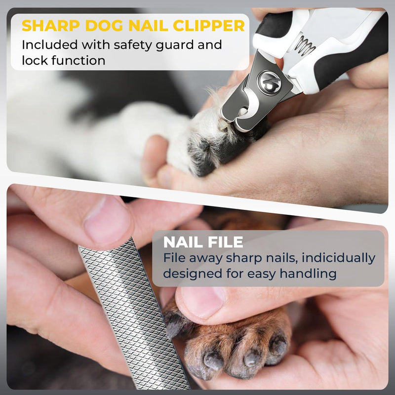 Dog Nail Grinder 6-Speed with LED Display, Dog & Cat Nail Clippers and Trimmers, Pet Nail Grinder with 2 LED Lights - Super Quiet Rechargeable Claw Trimmer for Large Medium Small Puppy Dogs/Cats White