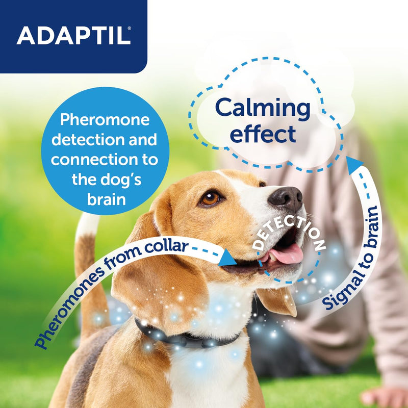 ADAPTIL Calm On-the-Go Collar, Helps Dogs Cope with Stress and Anxiety Related Behavioural Issues and Life Challenges Especially When Out and About - Medium/Large Dogs, Black, 1 Count (Pack of 1) Only Collar - PawsPlanet Australia