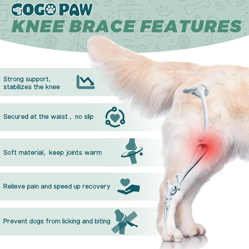 Dog Knee Brace for Back Leg – Adjustable Support Brace with 2 Metal Strips for ACL, CCL, Hip Dysplasia & Ligament Injuries, Fits Small, Medium & Large Dogs, Pain Relief & Stability (Left Leg, 2XL)