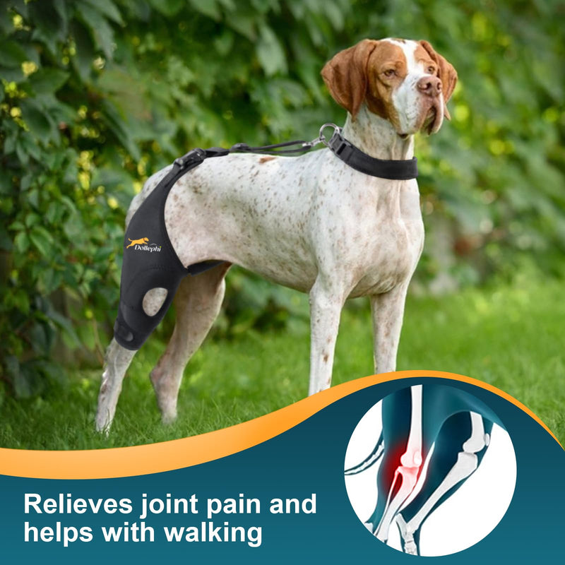 Dog Knee Brace for Torn ACL Hind Leg, Support for Patella Dislocation or Osteoarthritis, Cruciate Ligament Injuries, Cut-out Non-slip Wrap Promotes Patellar Stability,Patent Pending(Right Leg,M) Right Leg(gasket) M