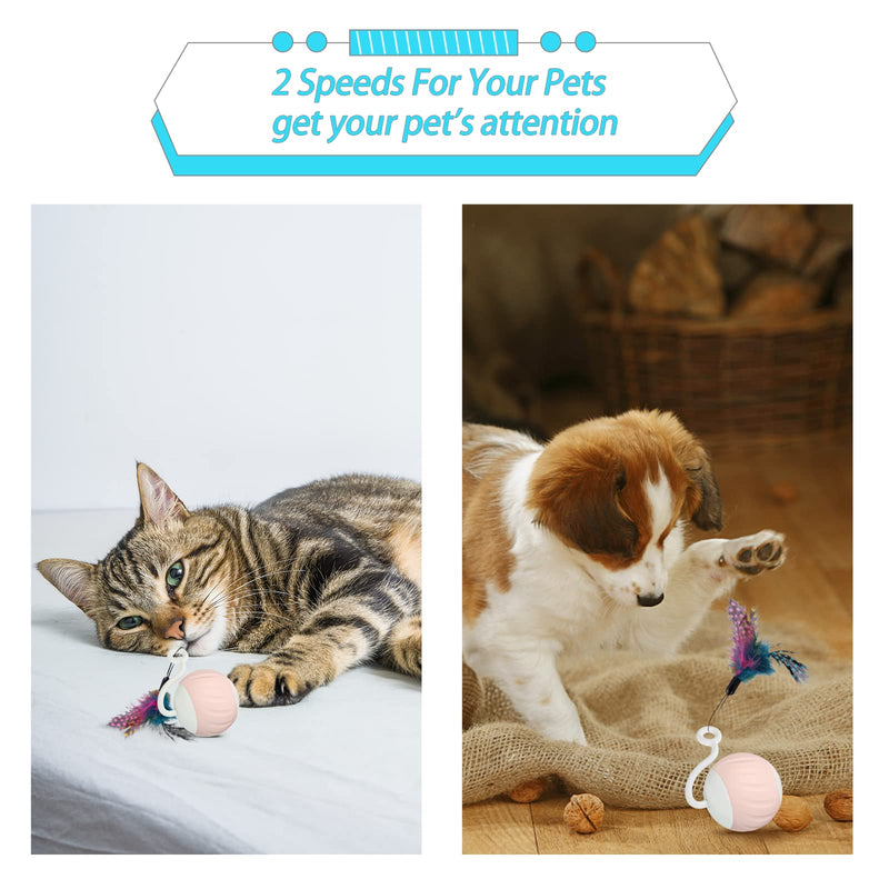 Turbo Tail Cat Toy Interactive Cat Balls Cat Toys For Indoor Cats, Turbo Tail Mouse Cat Toy With LED Rainbow Lights Feathers & USB Charging Cable, Touch Control And Sound Control Smart Cat Ball Toy A2- Pink - PawsPlanet Australia