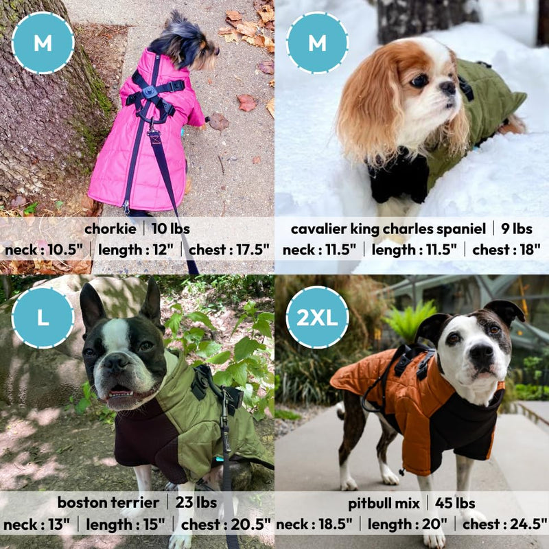 Gooby Alpine Explorer - Raspberry Rose, Small - Waterproof Jacket with Cross Lock Converter for Small Dog and Medium Dog Small (16") - PawsPlanet Australia