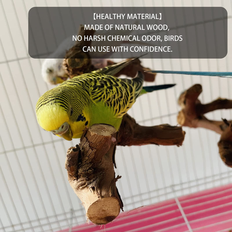 5PCS Bird Perch Stand Natural Wooden Parrot Stand Branch,3 Grape Wood Perch,2 Stand,Paw Grinding Fork Parakeet Chewing Stick Exercise Training Branches for Cockatiels,Small Medium Birds - PawsPlanet Australia